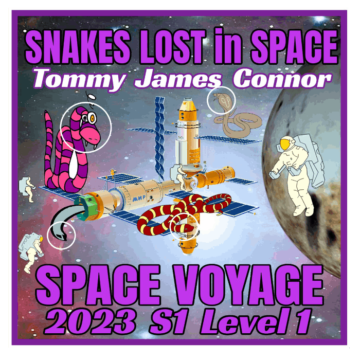 2023 Crew Mission Patch - Snakes Lost in Space