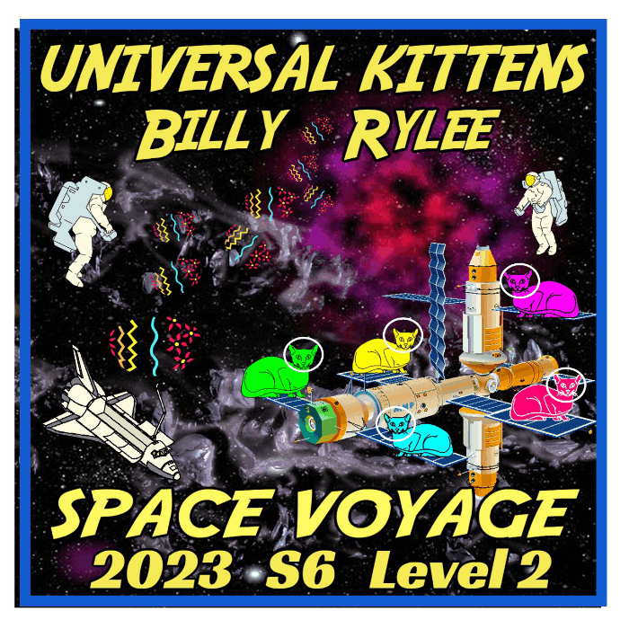 2023 Space Voyage Summer Camp - Universal Kittens